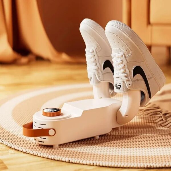 Electric shoe dryer